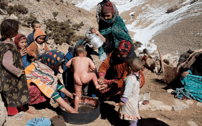 النجاة بمحض الصدفة